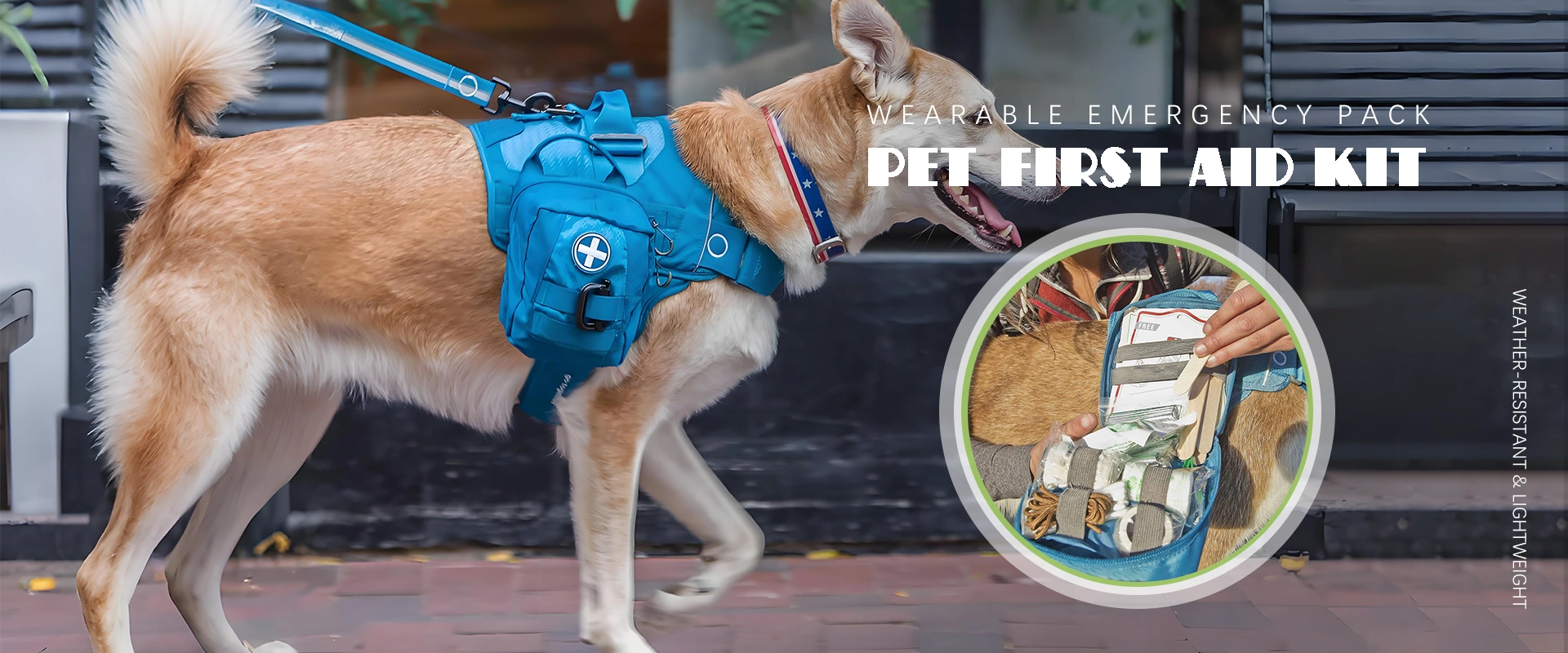 Fabricante de kits de primeiros socorros de animais de estimação