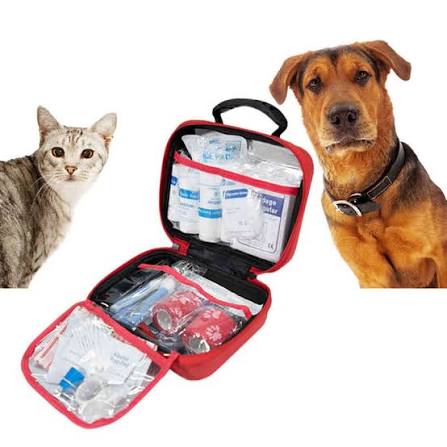 O melhor companheiro de viagem: por que nossa bolsa de transporte para animais de estimação EVA é uma virada de jogo para os pais de animais de estimação